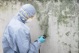 Why You Should Choose Our Mold Remediation Services in Central City, PA